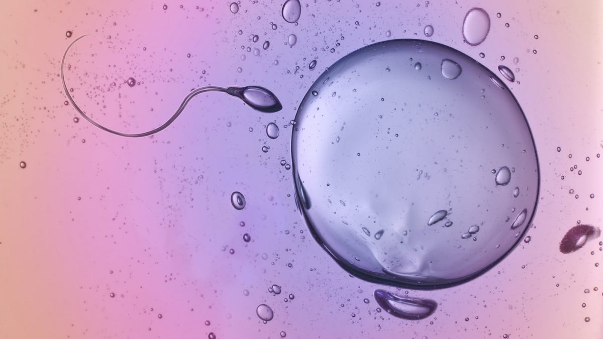 Donor-Sperm-Insemination-1200x675.jpg