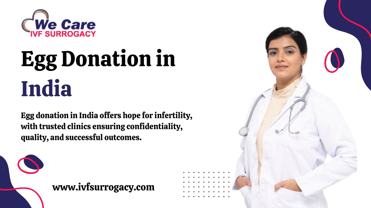 Egg Donation in India