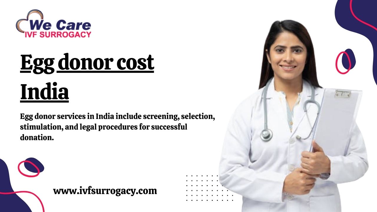 Egg donor cost India