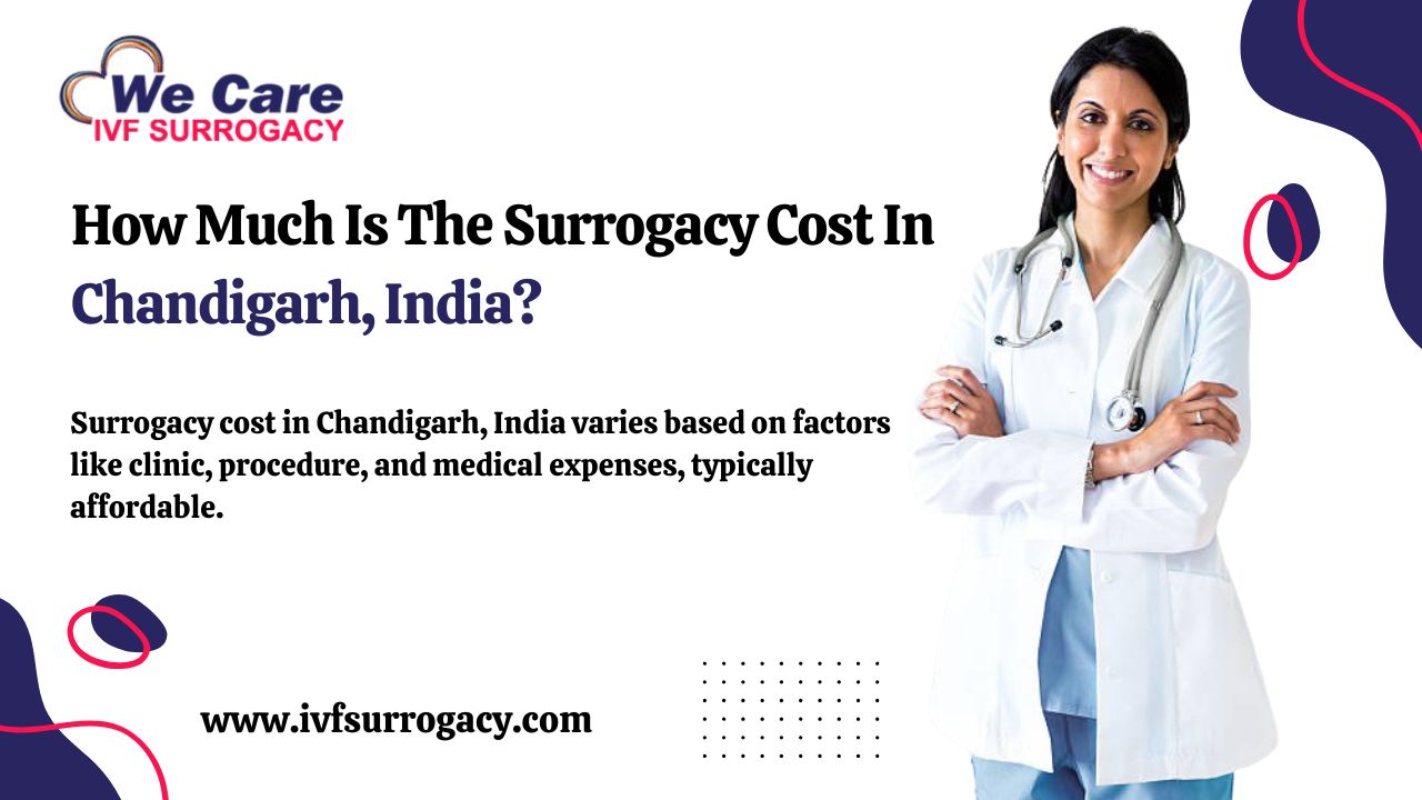 How Much Is The Surrogacy Cost In Chandigarh, India?