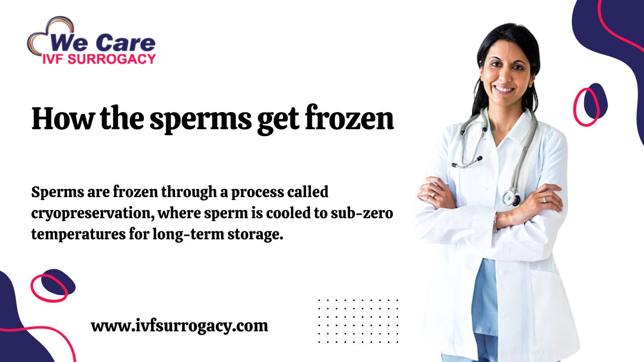 How the sperms get frozen