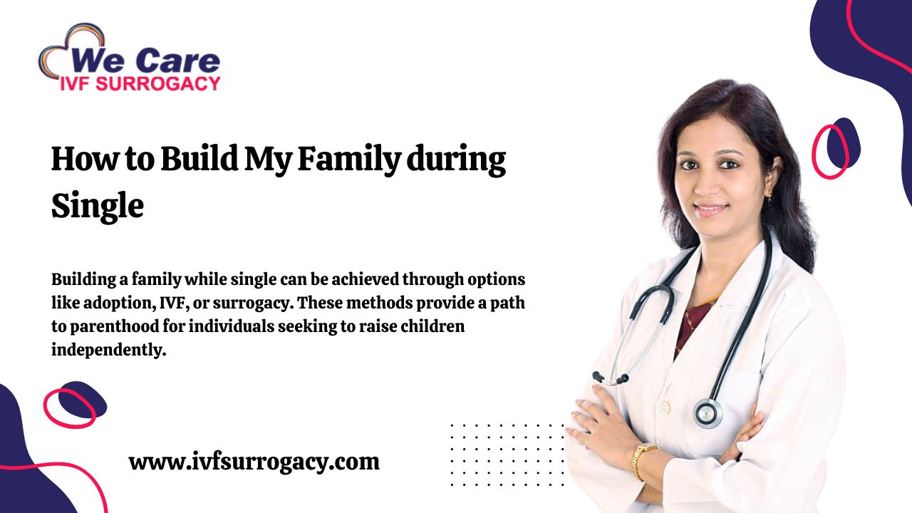 How to Build My Family during Single