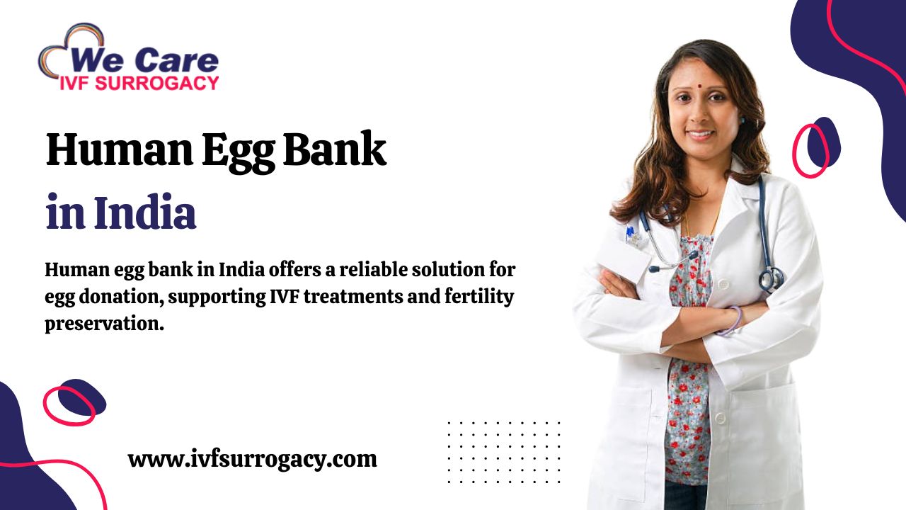 Human Egg Bank in India