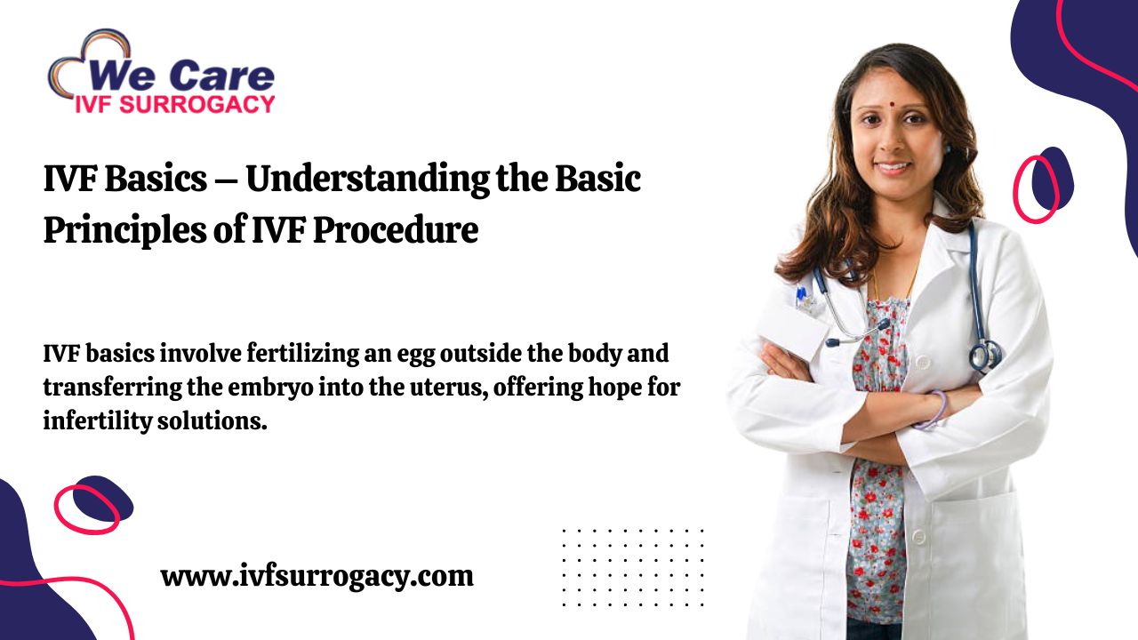 IVF Basics – Understanding the Basic Principles of IVF Procedure