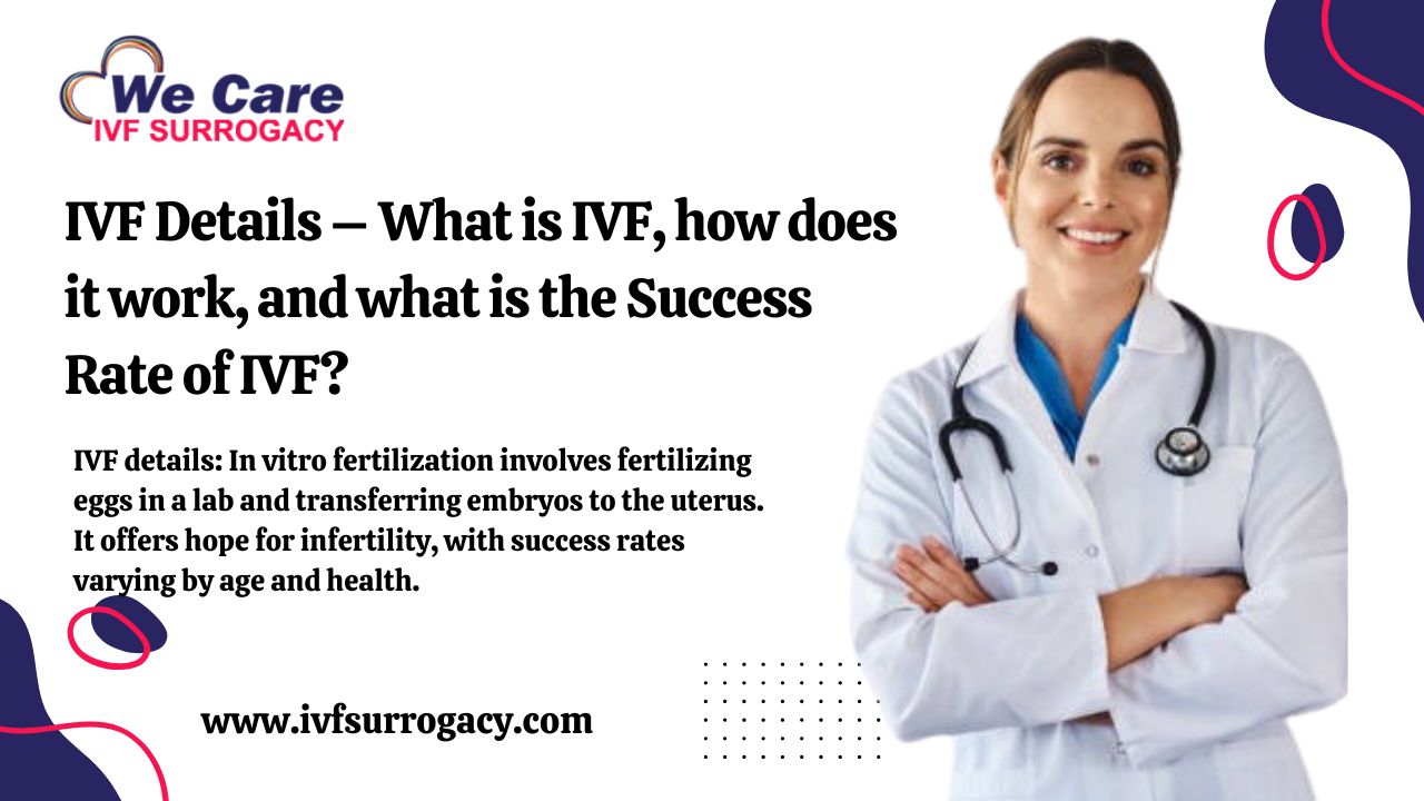 IVF Details – What is IVF, how does it work, and what is the Success Rate of IVF?