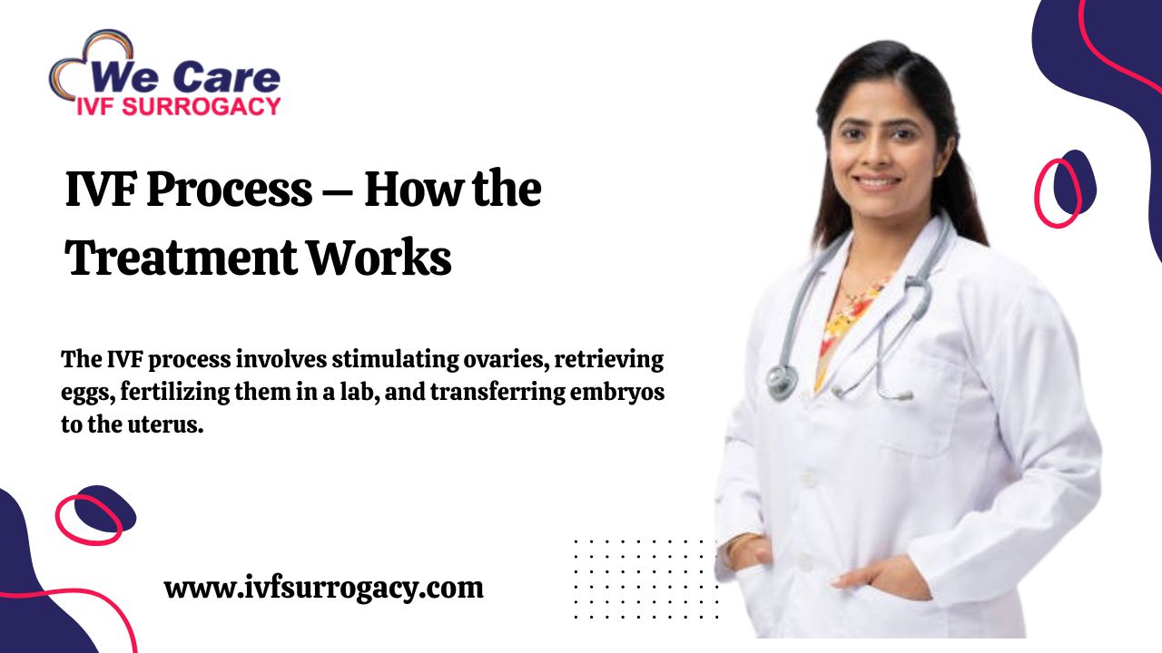 IVF Process – How the Treatment Works