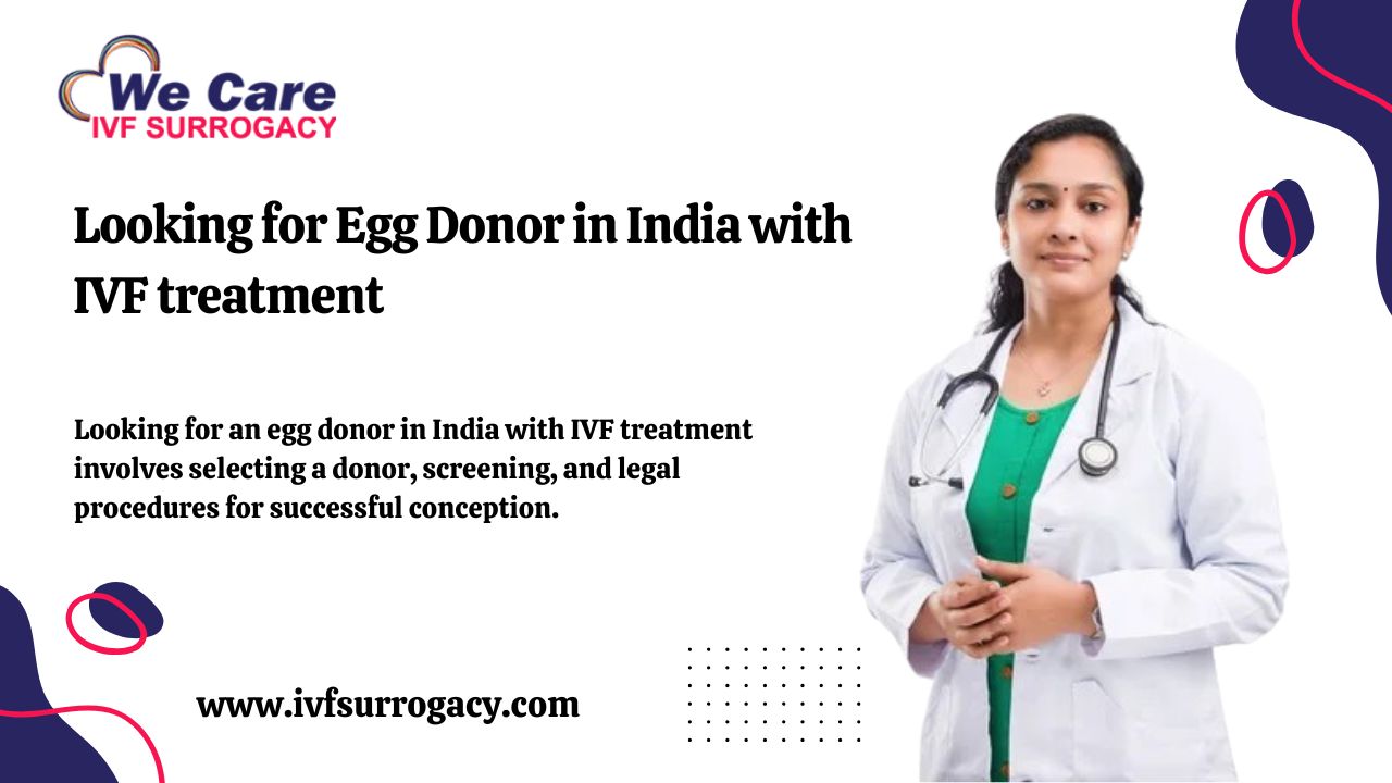 Looking for Egg Donor in India with IVF treatment