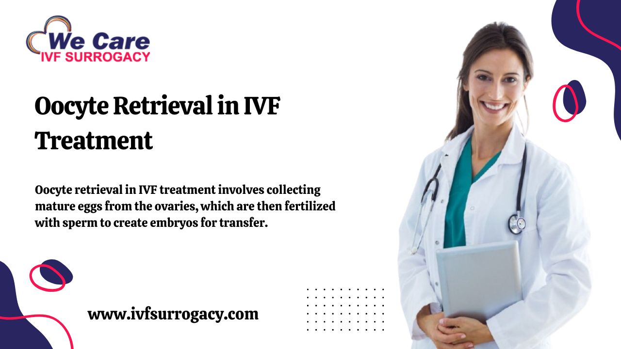 Oocyte Retrieval in IVF Treatment