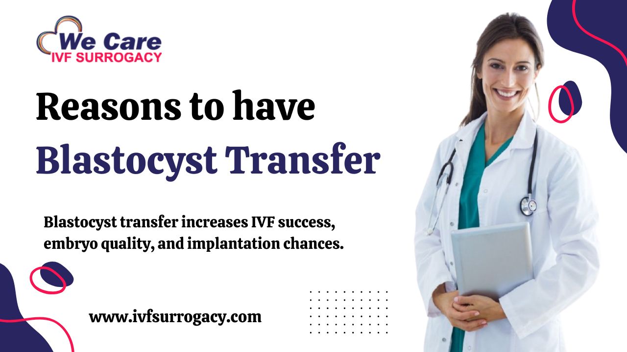 Reasons to have Blastocyst Transfer